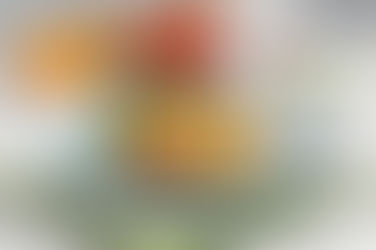 Nossack Food Factory – Episode Three