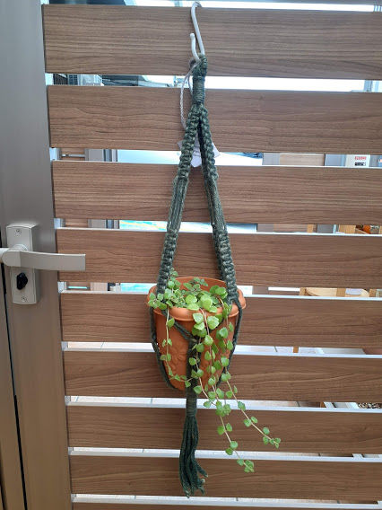 プランツハンガー フラット グリーン