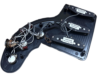 Adobe Express - file 2_edited.png