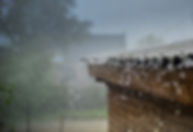 AdobeStock_115766633.jpeg