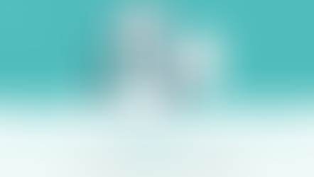 How to Optimize Your Ecommerce Website for Mobile Devices