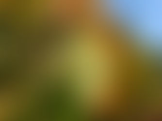 I Still Miss Someone