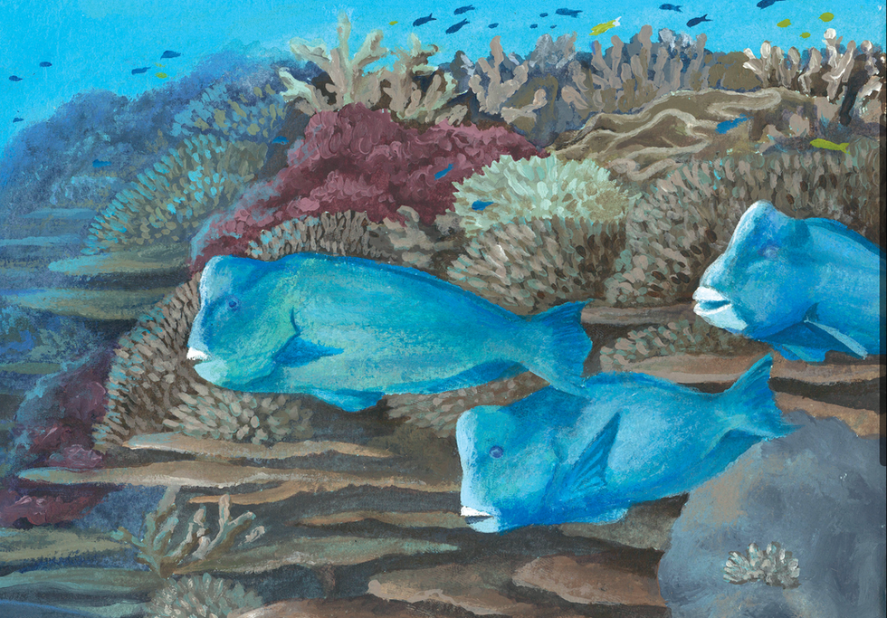 Screenshot 2025-12-18 at 1.21.50 PM.png