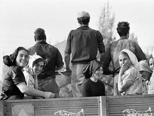 'Mulheres, Terra, Revolução' officially selected to compete by the Porto Femme International Film Festival and the Festival Política