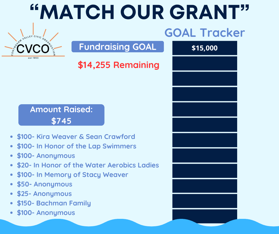 Blue Yearly Goal Minimalist Timeline Infographic (Facebook Post)