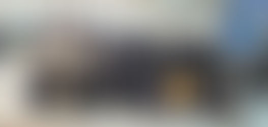 1대1 영어캠프, 학생 40명, 원어민 선생님도 40명