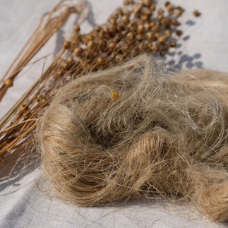 dried flax plant and raw fibre side by side