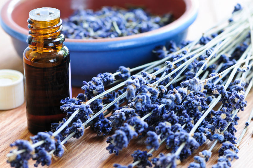 Lavender Oil for Anxiety
