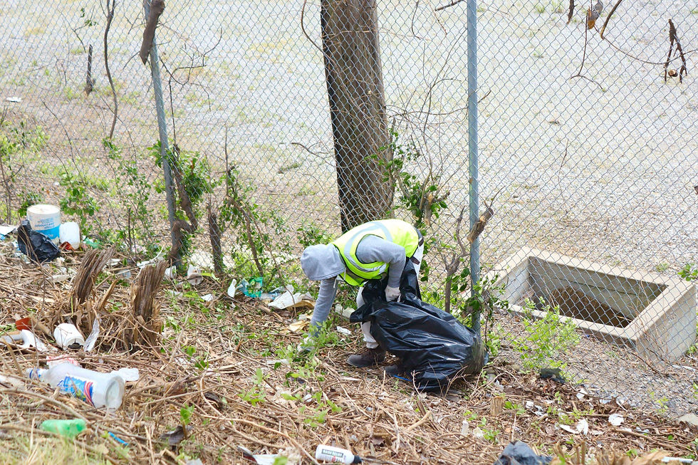 Clean City Coalition Community Service