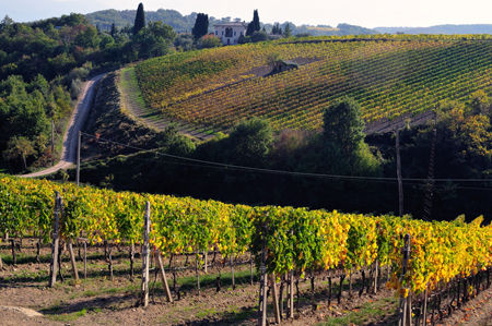 Thumbnail: Bramante Riserva - Brunello di Montalcino