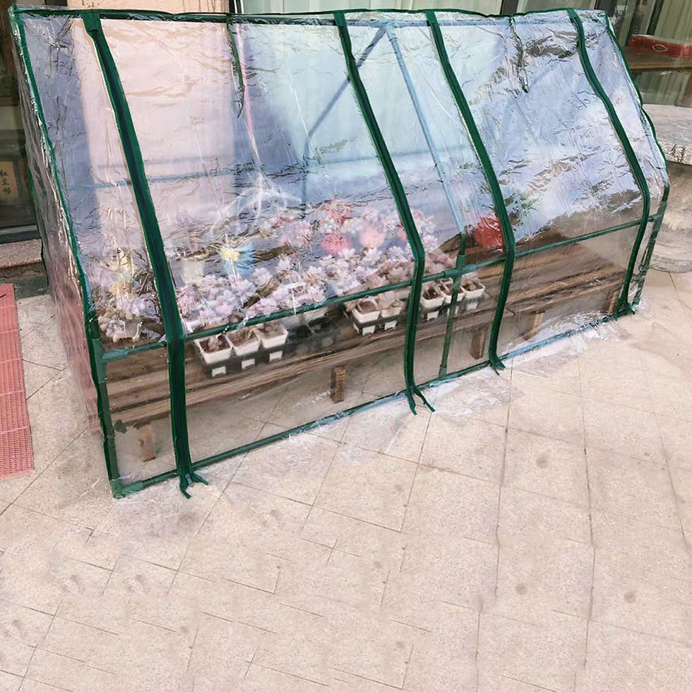 Miniatura: 🌿Invernadero de Jardín con Cubierta Transparente 🌱