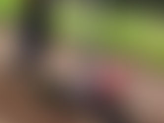 サツマイモ植付けの準備を始めました【ファーム輝】