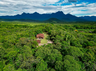 SPVS passa a oferecer Créditos de Biodiversidade para proporcionar reconhecimento do valor da natureza pelas corporações
