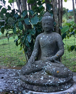 Haiku moon house buddha