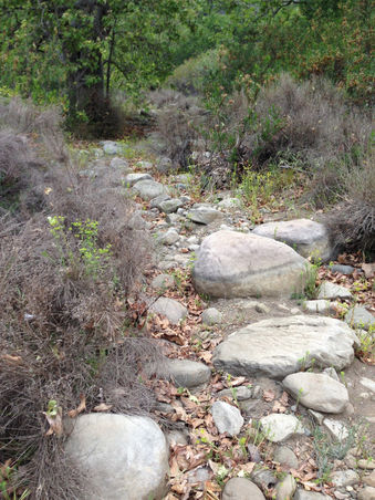 The river is flowing, but the water is not