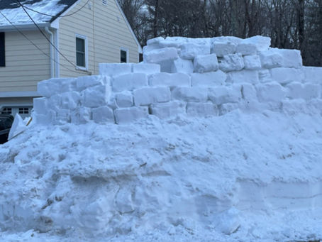 The wildwood igloo 