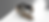 DENA mh01tom modesty black meun hor 1.png