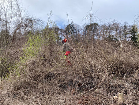 Einladung 1. Sektionshegetag