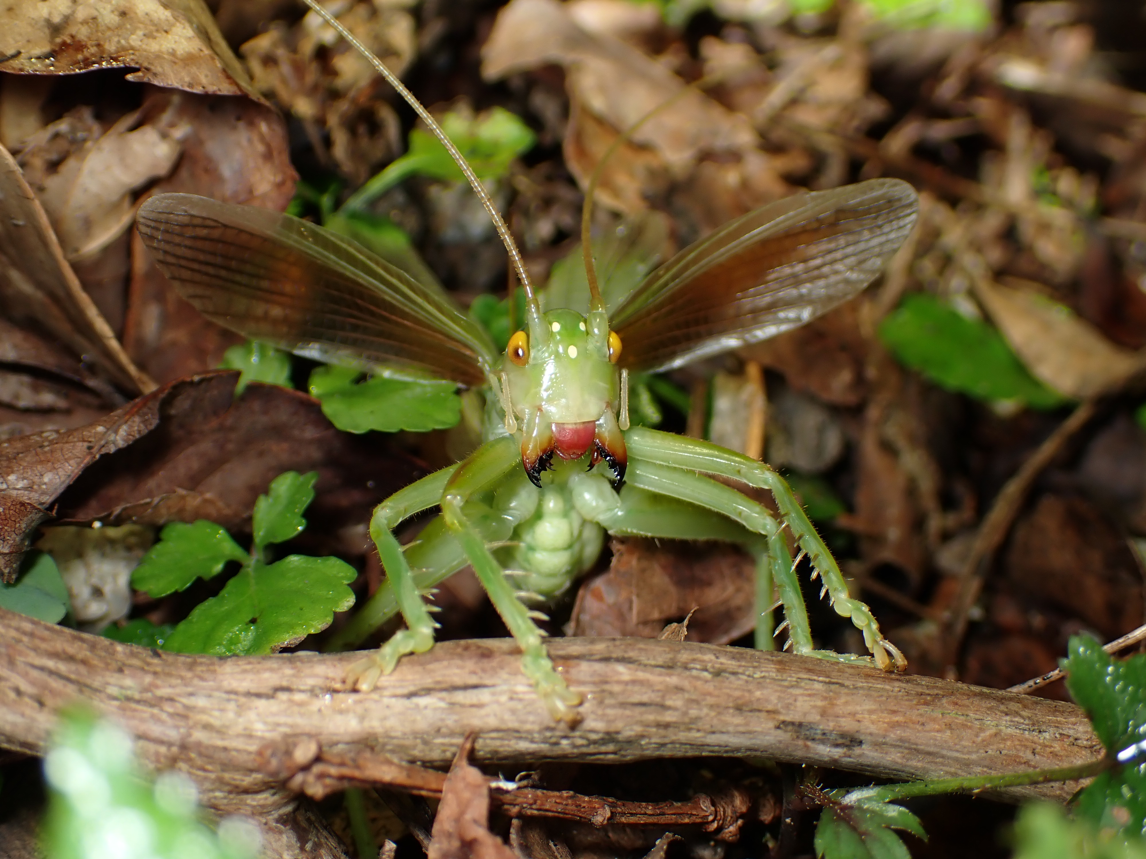 e54ef4_993c50b530a74b4e8a7cf50