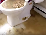 Raw sewage