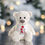 Thumbnail: Baby’s  Boys & Girls  Tummi Bear “My 1st Christmas “