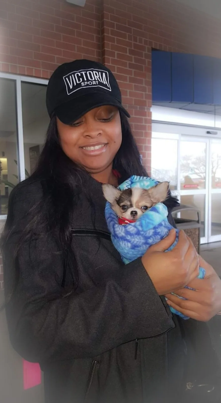 country charm chihuahuas