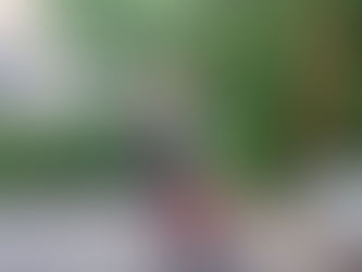 How I nearly died, 13 times