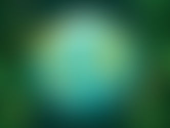 The Dictator's rules