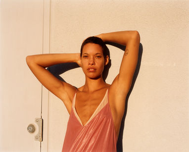 Los Angeles sunset model