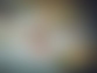 La suspicacia del ingenuo