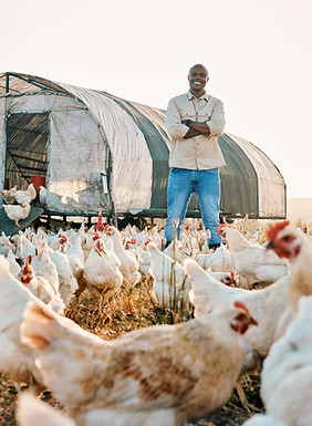 Poultry Processing