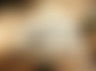 The Dragon, The Ghost, and The One Vehicle