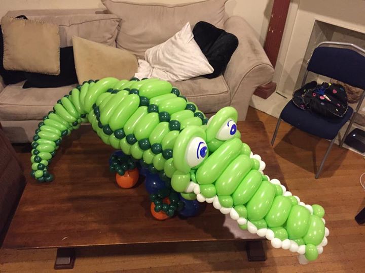 Alligator