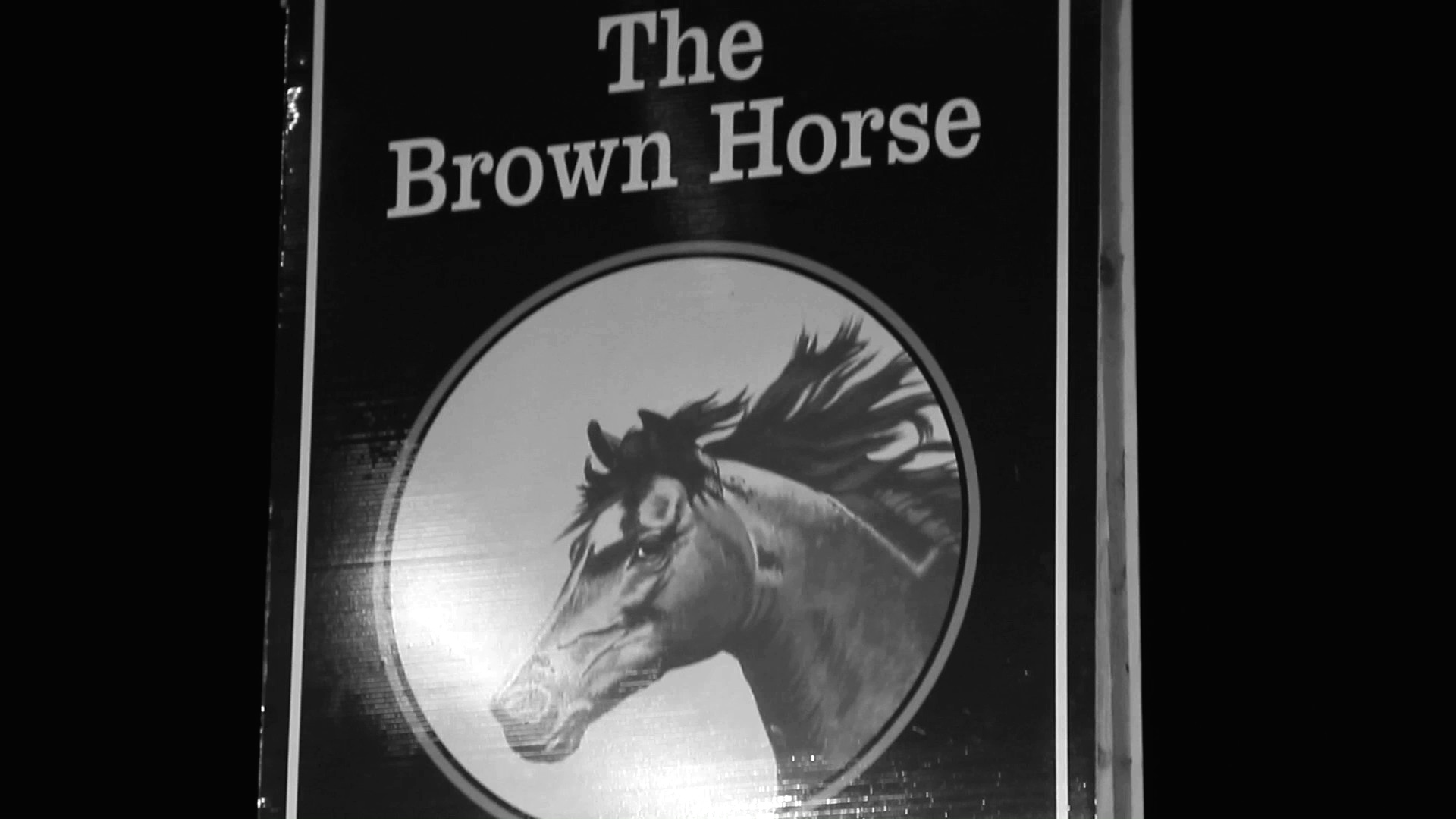 Brown Horse