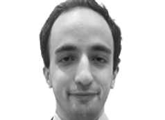 Giovanni Gitti, Legal Advisor