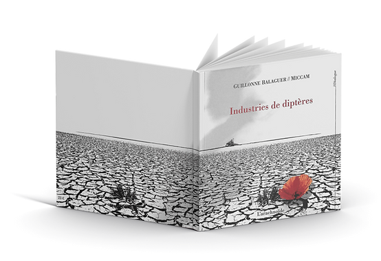 Livre Industries de diptères.png