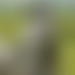 How to Spend Smart on Horse Care in Tough Times | Horse Care on a Budget