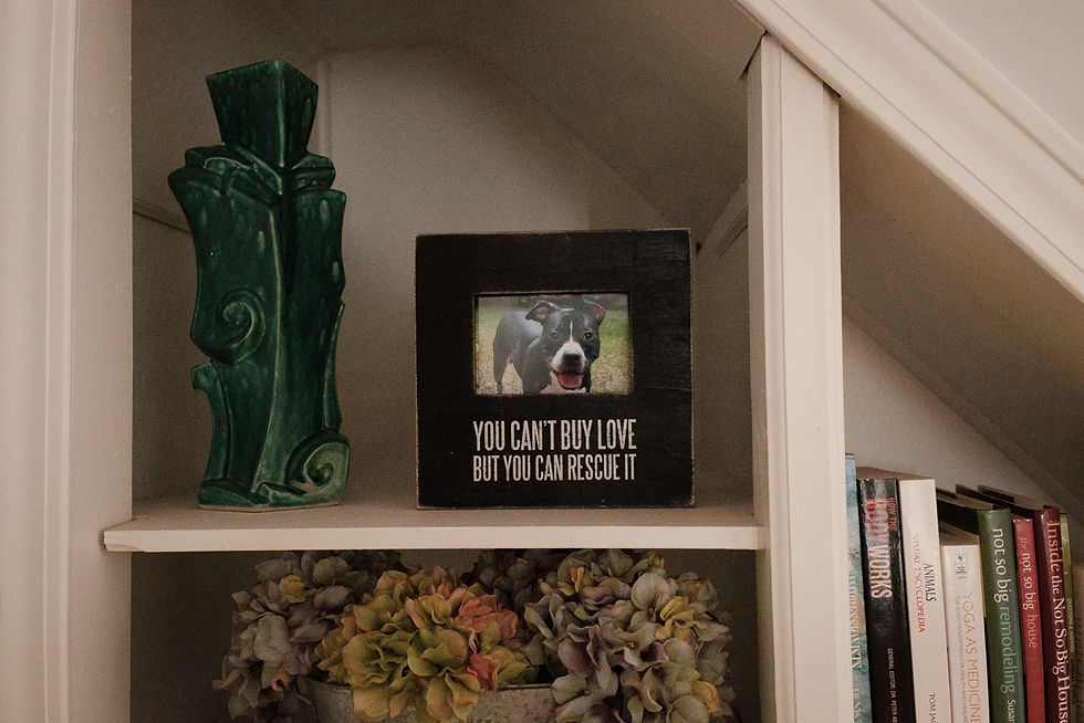 you can't buy love but you can rescue it frame