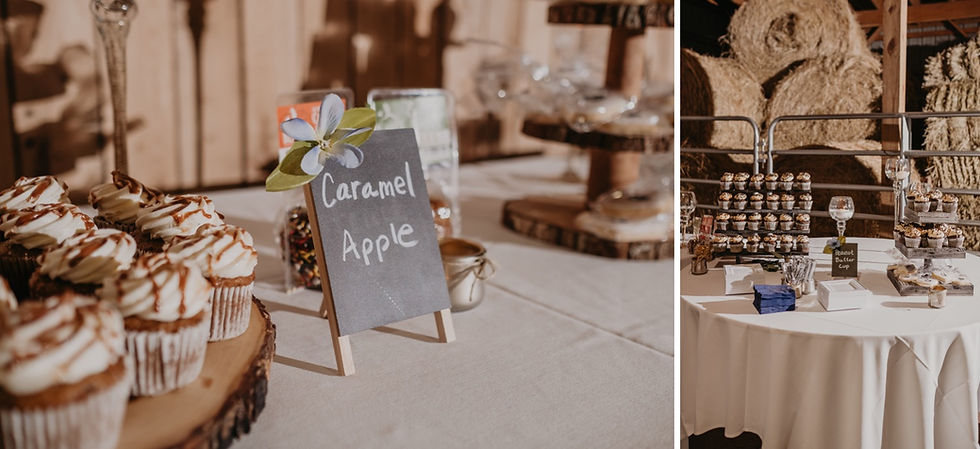 Metro Detroit wedding dessert table