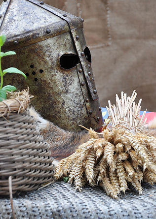 Knight's helmet