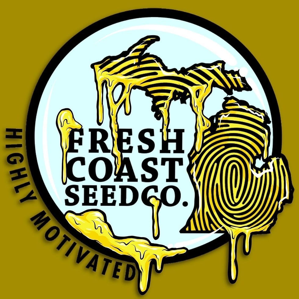 Thumbnail: Gorilla Butter F2(White Truffle Cut) S1