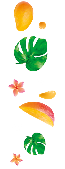 Side-Icons3.png