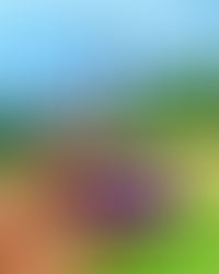 Get Whisk(ed) Away To This Parisian-Style Bakery and Coffee Shop in Shockoe Bottom