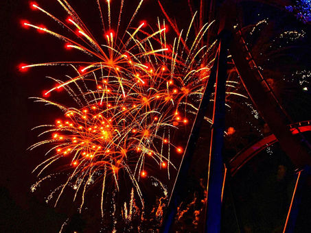 Tampa, FL: Happy New Year To You From Busch Gardens, Tampa