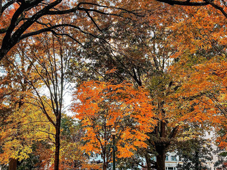 Virginia State Capitol During Autumn