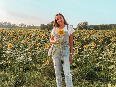 Manakin, VA: 3rd Annual Sunflower Festival At Alvis Farms