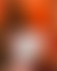 RVA's Newest Holiday Pop-Up Bar: Cirrus Vodka In Scott's Addition