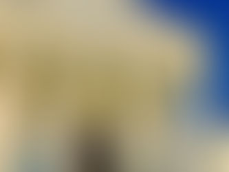 Decked Out For The Holidays