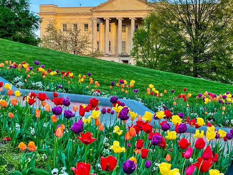 Earth Day In RVA