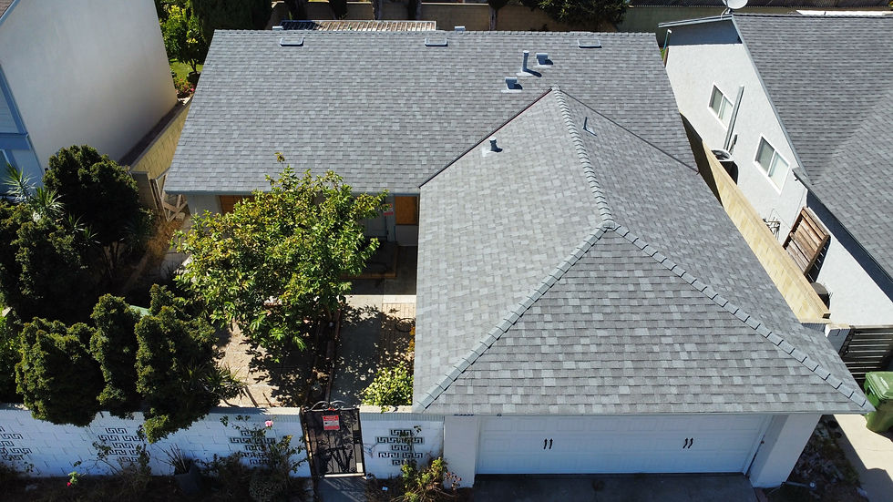 dji_fly_20240819_150736_287_1724105288120_photo_optimized